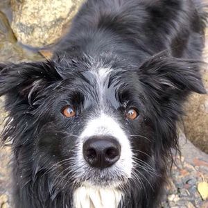 Meet your Posher, Rachael